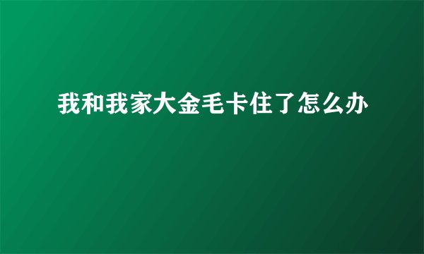 我和我家大金毛卡住了怎么办