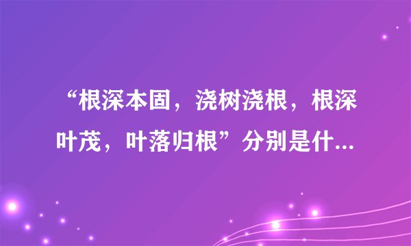 “根深本固，浇树浇根，根深叶茂，叶落归根”分别是什么意思？