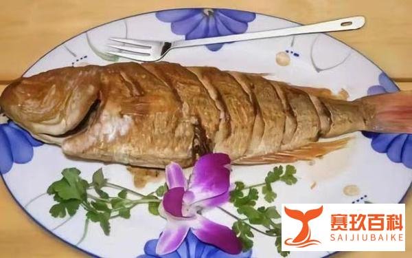 一条咸鱼引发的故事