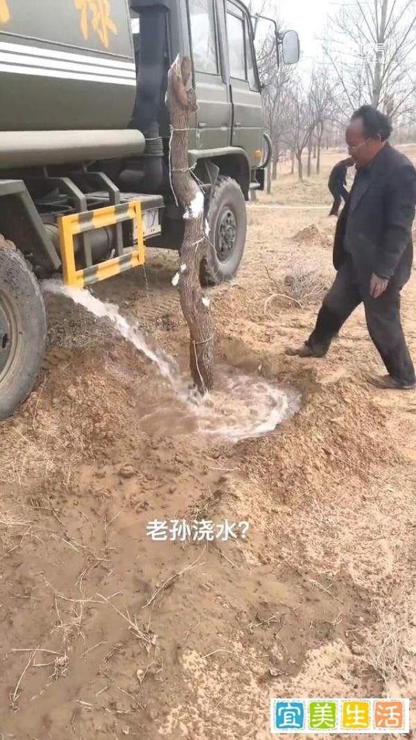 真相爆料:沙漠种树英雄孙国友,跪地求水事件内幕,真相没那么简单!
