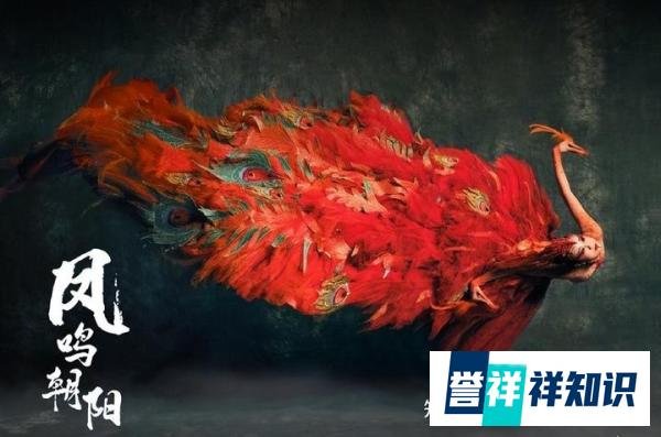 杨丽萍凤凰造型如涅槃重生，3D Mapping投影为舞台增色添彩