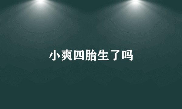 小爽四胎生了吗