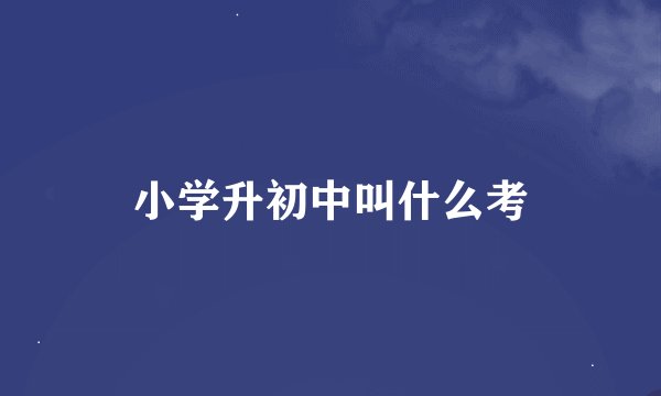 小学升初中叫什么考