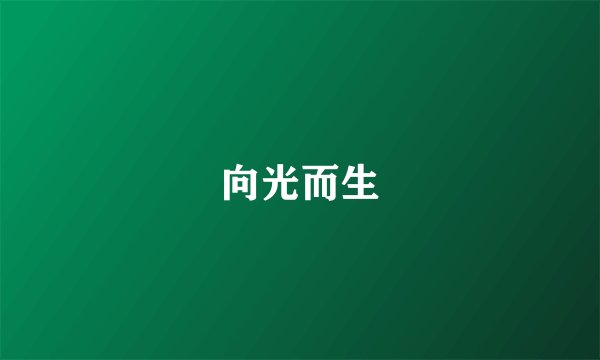 向光而生