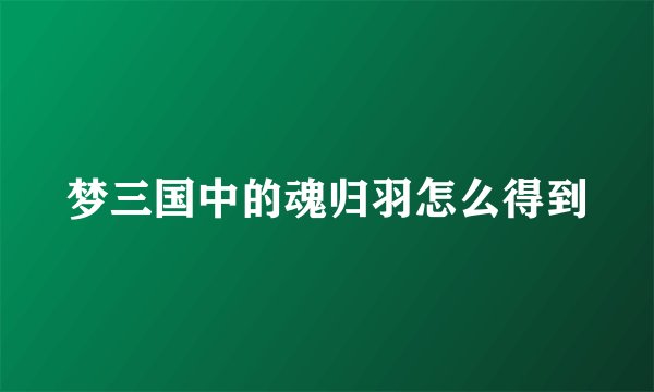 梦三国中的魂归羽怎么得到