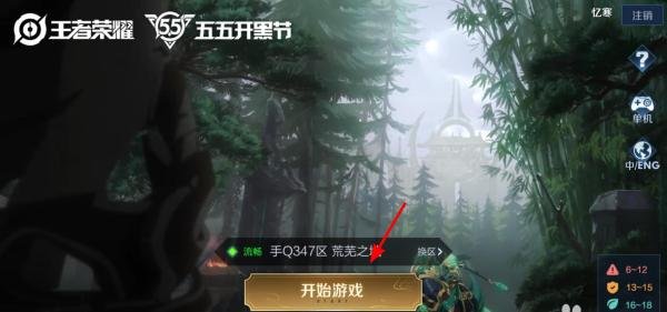 王者荣耀排位怎么设置常用英雄