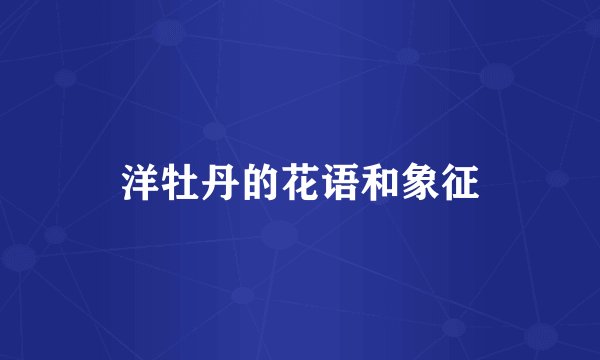 洋牡丹的花语和象征