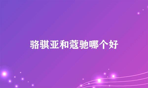 骆骐亚和蔻驰哪个好