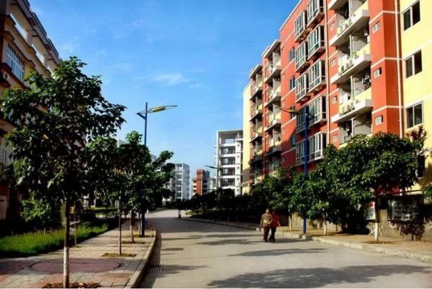 颜怡颜悦毕业于哪所大学