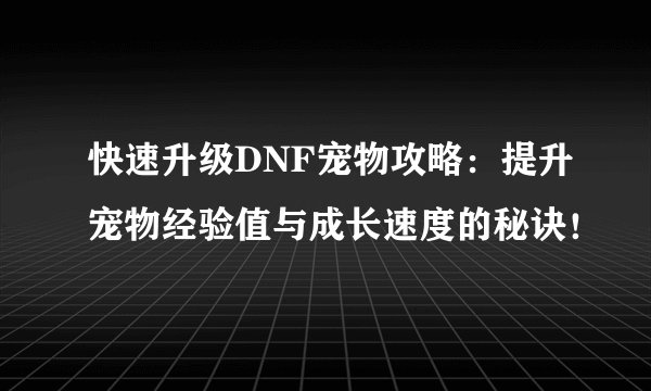 快速升级DNF宠物攻略：提升宠物经验值与成长速度的秘诀！