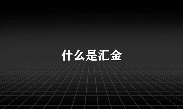 什么是汇金