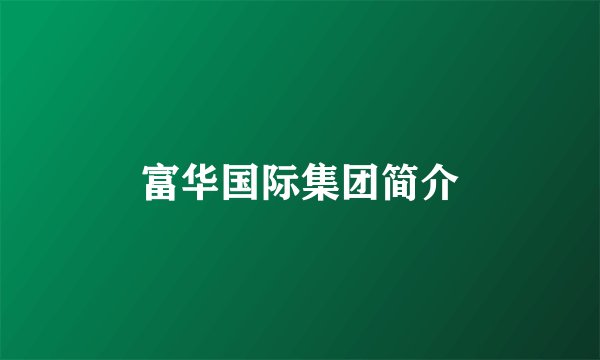富华国际集团简介