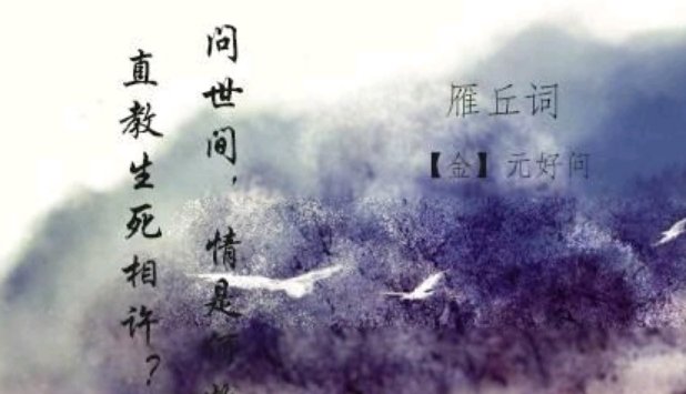 问世间情为何物下一句幽默回答是什么?