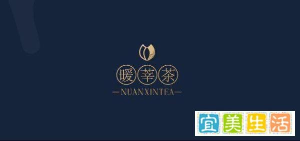 茅山白茶属于什么茶 茅山白茶怎么泡好喝