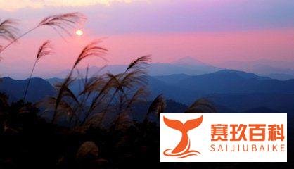 风起此岸花落彼岸,此岸彼岸何处才是岸