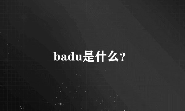 badu是什么？