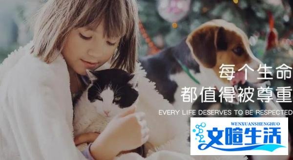 曾与平安合作，百加世：“爱宠宝”宠物保险已结束