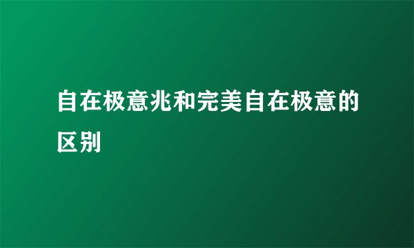 自在极意兆和完美自在极意的区别
