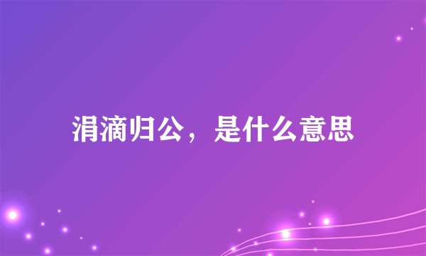 涓滴归公，是什么意思