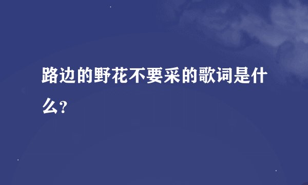 路边的野花不要采的歌词是什么？