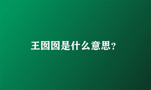 王囡囡是什么意思？