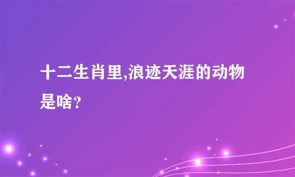十二生肖里,浪迹天涯的动物是啥？