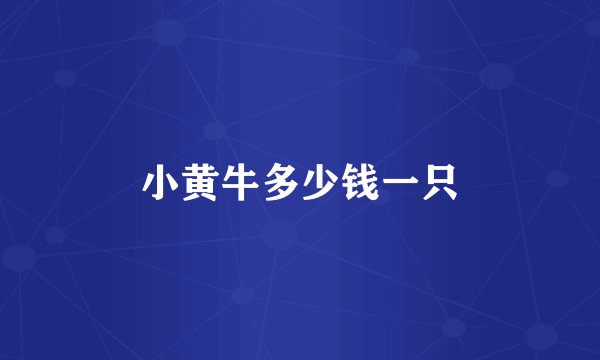 小黄牛多少钱一只