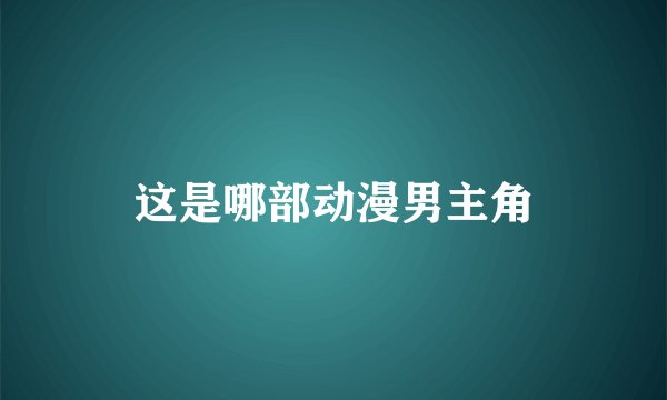 这是哪部动漫男主角