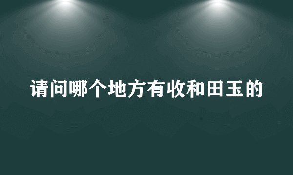 请问哪个地方有收和田玉的
