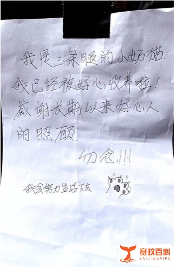 男子投喂三只腿流浪猫半个月,突然发现它消失了,却留下一张字条