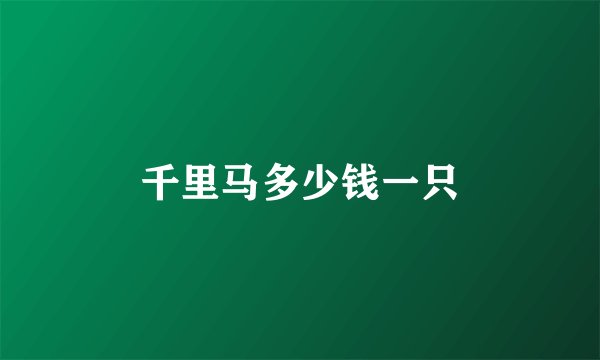 千里马多少钱一只