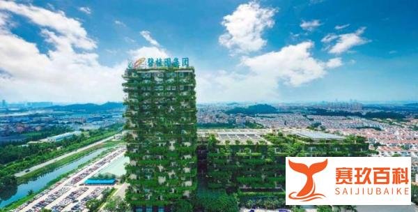 简讯|杨惠妍卸任碧桂园旗下董事长职务，碧桂园提出四大自救措施