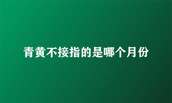 青黄不接指的是哪个月份