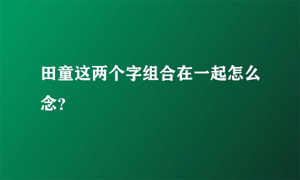 田童这两个字组合在一起怎么念？