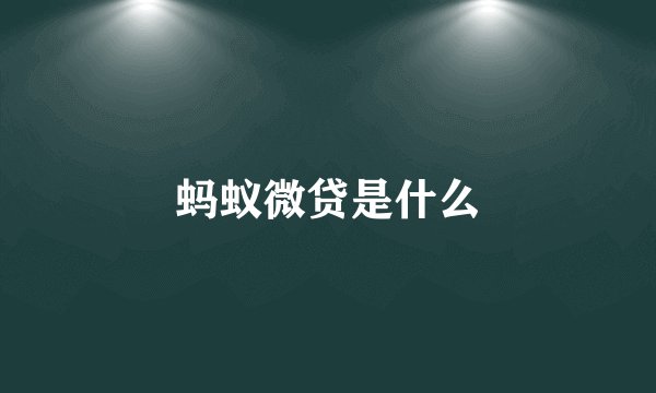 蚂蚁微贷是什么