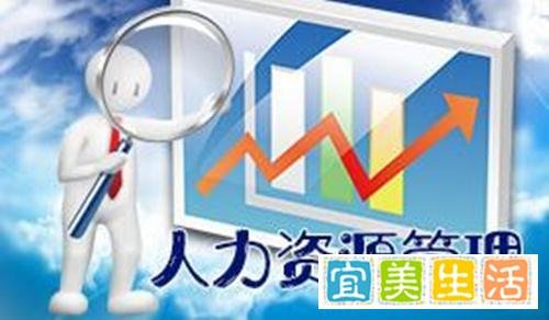 兔子与骆驼