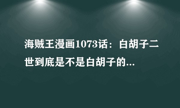 海贼王漫画1073话:白胡子二世到底是不是白胡子的亲生儿子?