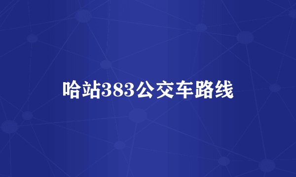 哈站383公交车路线