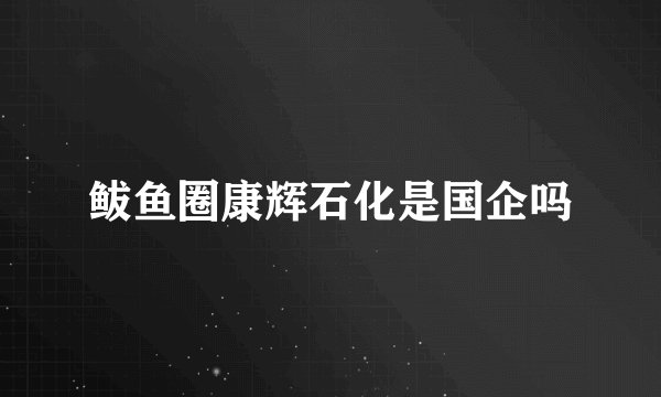 鲅鱼圈康辉石化是国企吗