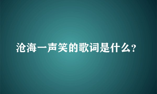 沧海一声笑的歌词是什么？