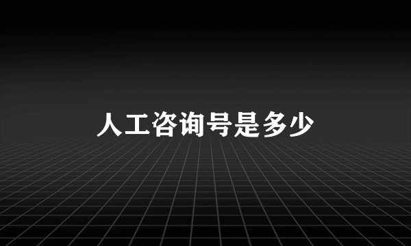 人工咨询号是多少