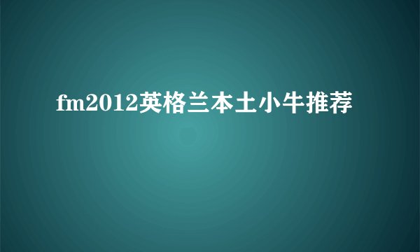 fm2012英格兰本土小牛推荐