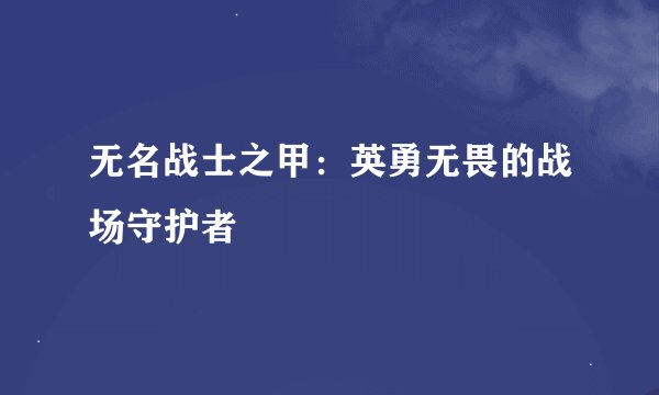 无名战士之甲：英勇无畏的战场守护者