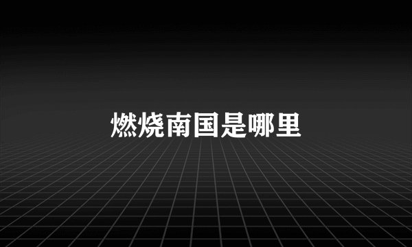 燃烧南国是哪里
