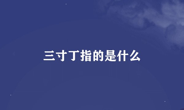 三寸丁指的是什么