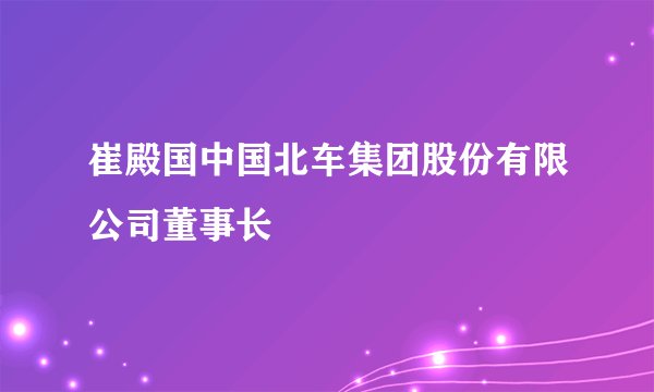 崔殿国中国北车集团股份有限公司董事长