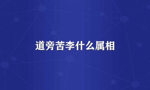 道旁苦李什么属相