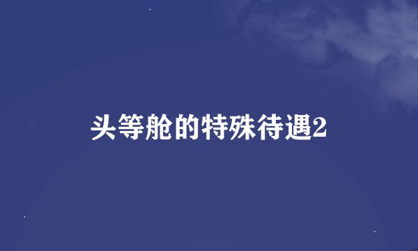 头等舱的特殊待遇2