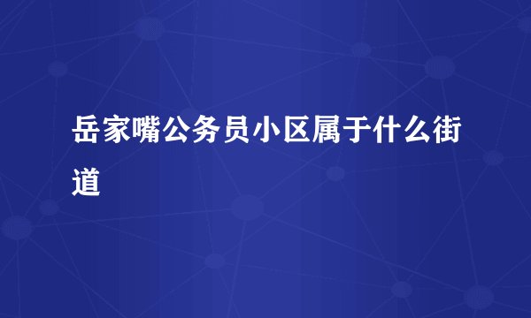 岳家嘴公务员小区属于什么街道