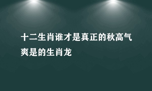 十二生肖谁才是真正的秋高气爽是的生肖龙